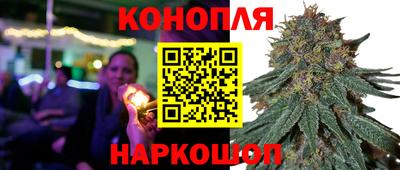 гашик Коммунар