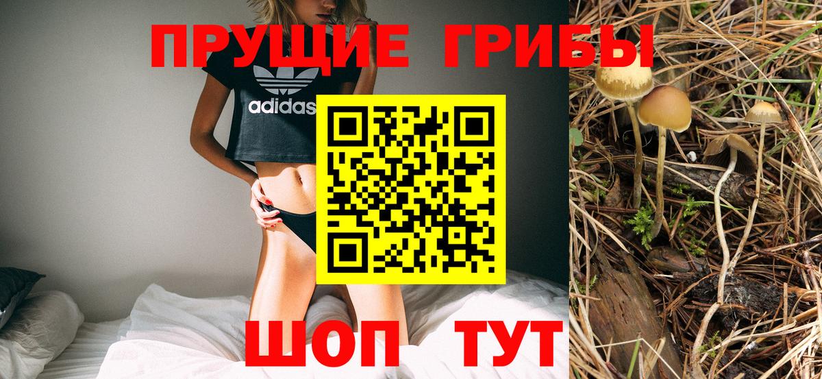 Галлюциногенные грибы Magic Shrooms Арзамас